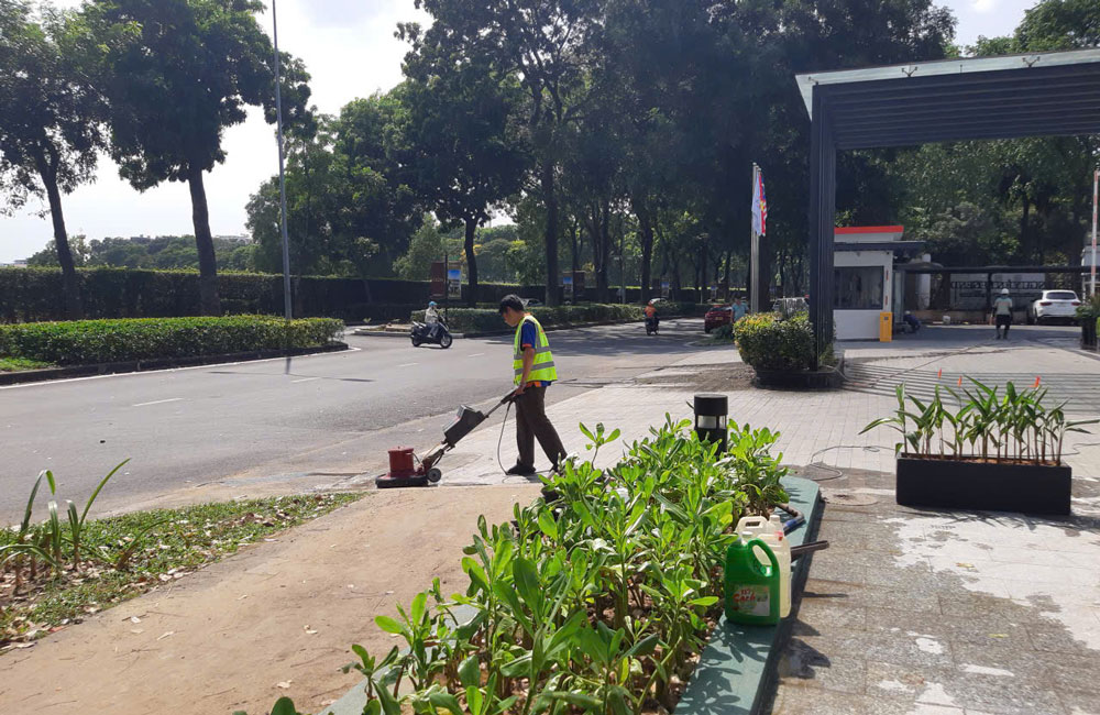 Dịch vụ chà sàn