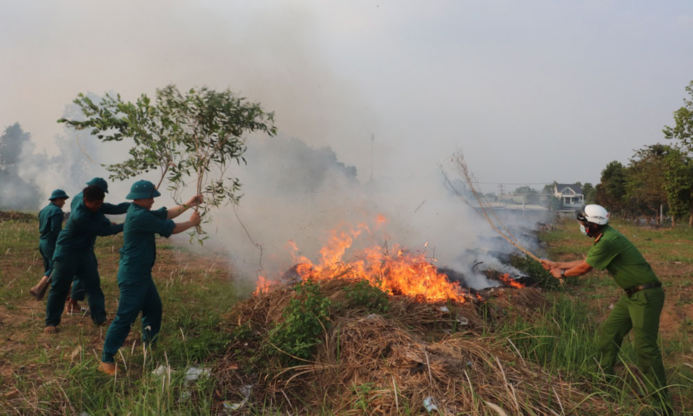 Dịch vụ cắt cỏ Cỏ khô bị cháy