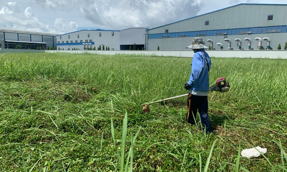 Dịch vụ cắt cỏ Dịch vụ cắt cỏ