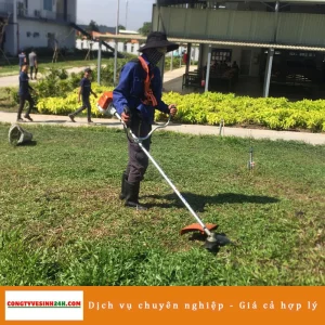 Dịch vụ cắt cỏ