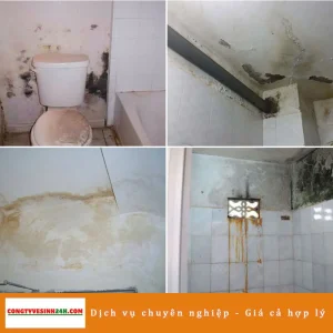 chống thấm nhà vệ sinh - Toilet